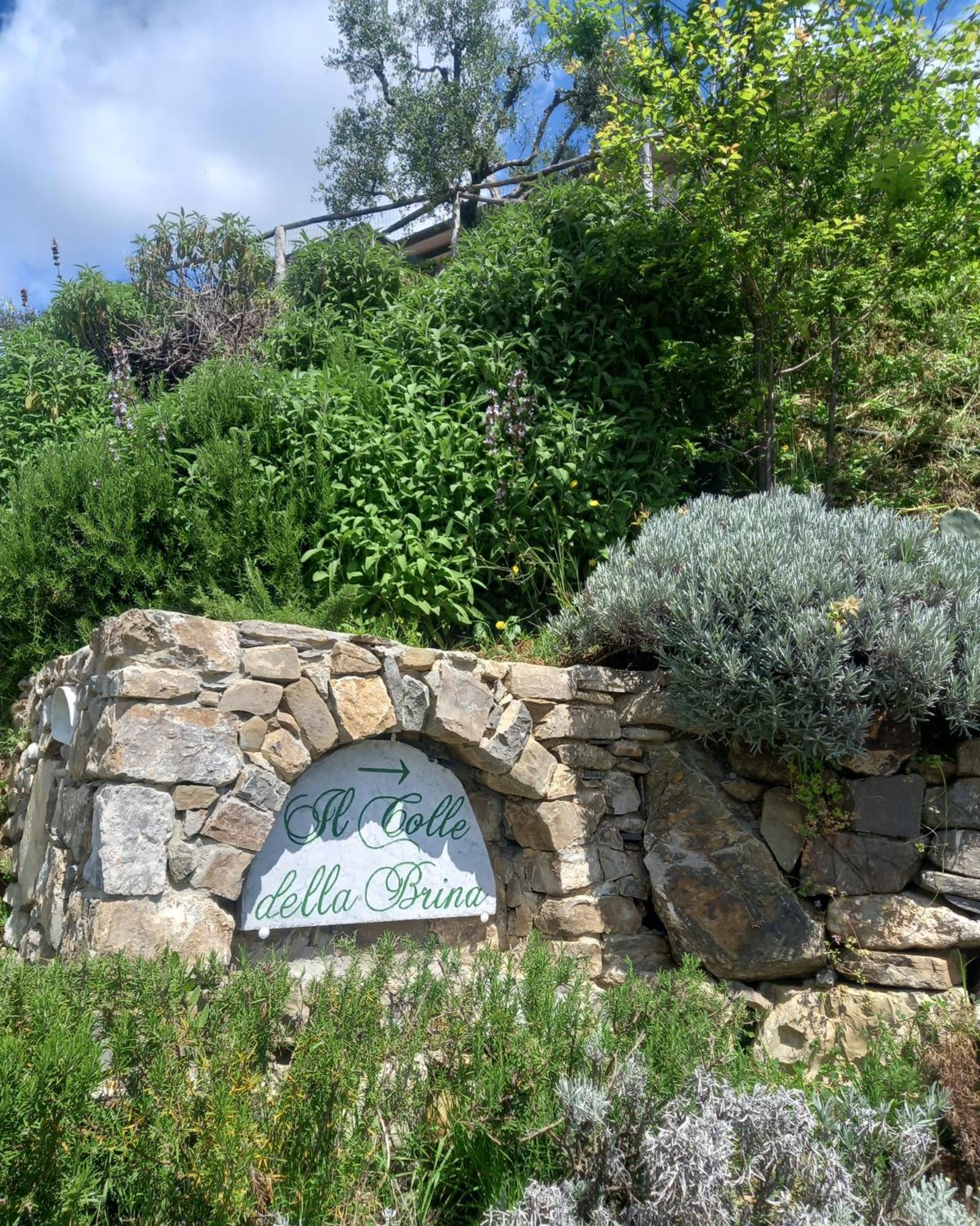 萨尔扎纳 Il Colle Della Brina酒店 外观 照片